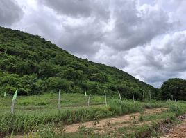  Grundstück zu verkaufen in Pran Buri, Prachuap Khiri Khan, Pak Nam Pran