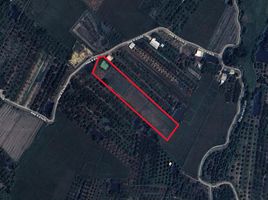  Land for sale in Hang Dong, Chiang Mai, Han Kaeo, Hang Dong