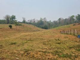  Grundstück zu verkaufen in Mae Taeng, Chiang Mai, Mae Taeng, Mae Taeng