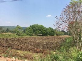  Land for sale in Pak Chong, Nakhon Ratchasima, Mu Si, Pak Chong