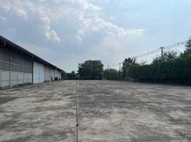 3 Bedroom Warehouse for sale in Mueang Nakhon Ratchasima, Nakhon Ratchasima, Cho Ho, Mueang Nakhon Ratchasima