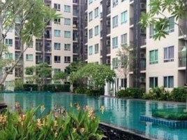 1 Schlafzimmer Wohnung zu verkaufen im IRIS Avenue, Lat Krabang, Lat Krabang