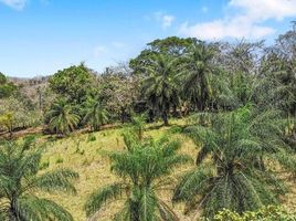  Land for sale in Panama, Lajamina, Pocri, Los Santos, Panama