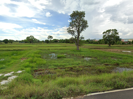  Grundstück zu verkaufen in Mueang Surin, Surin, Nok Mueang, Mueang Surin