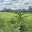  Land for sale in Lat Lum Kaeo, Pathum Thani, Khu Khwang, Lat Lum Kaeo