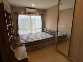 1 Schlafzimmer Wohnung zu verkaufen im Plum Condo Rangsit Alive, Khlong Nueng