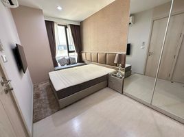 1 Schlafzimmer Appartement zu vermieten im Rhythm Sukhumvit 42, Phra Khanong