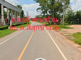  Land for sale in Chakkarat, Nakhon Ratchasima, Si Lako, Chakkarat