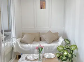 Studio Condo for sale at Sereno Airport Condo, Pa Daet, Mueang Chiang Mai, Chiang Mai