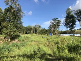  Land for sale in Thalang, Phuket, Thep Krasattri, Thalang