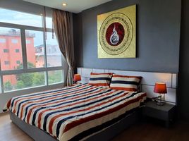 1 Bedroom Condo for rent at The Bell Condominium, Chalong, Phuket Town