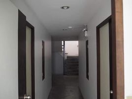 12 Bedroom Whole Building for sale in Central Patong, Patong, Patong