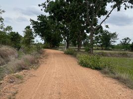  Grundstück zu verkaufen in Non Thai, Nakhon Ratchasima, Non Thai