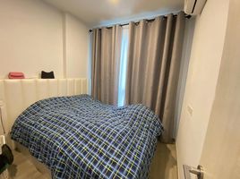 1 Schlafzimmer Appartement zu vermieten im Brompton Pet Friendly Samrong Station, Samrong Nuea