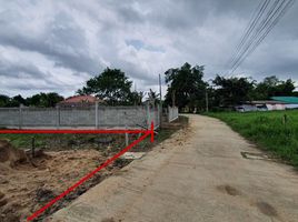  Land for sale in San Pong, Mae Rim, San Pong
