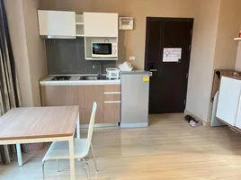 1 Schlafzimmer Wohnung zu vermieten im One Plus Suandok 4,5,6, Suthep, Mueang Chiang Mai