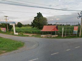  Land for sale in Nakhon Ratchasima, Nong Bua Noi, Sikhio, Nakhon Ratchasima