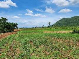  Grundstück zu verkaufen in Phatthana Nikhom, Lop Buri, Chon Noi, Phatthana Nikhom