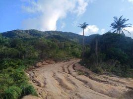  Grundstück zu verkaufen in Ko Pha-Ngan, Surat Thani, Ko Pha-Ngan, Ko Pha-Ngan