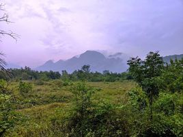  Land for sale in Prachuap Khiri Khan, Rai Kao, Sam Roi Yot, Prachuap Khiri Khan