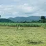  Grundstück zu verkaufen in Cha-Am, Phetchaburi, Rai Mai Phatthana, Cha-Am, Phetchaburi
