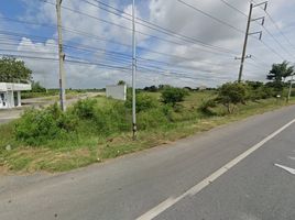  Land for sale in Lop Buri, Khao Phra Ngam, Mueang Lop Buri, Lop Buri