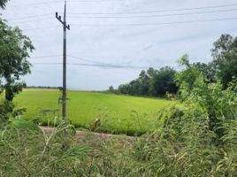  Land for sale in Sena, Phra Nakhon Si Ayutthaya, Sam Ko, Sena