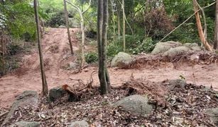 素叻 Koh Tao N/A 土地 售 