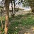  Land for sale in Mae Rim, Chiang Mai, Don Kaeo, Mae Rim