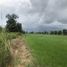  Land for sale in Nong Chok, Bangkok, Khok Faet, Nong Chok