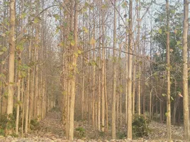  Land for sale in Bo Rang, Wichian Buri, Bo Rang