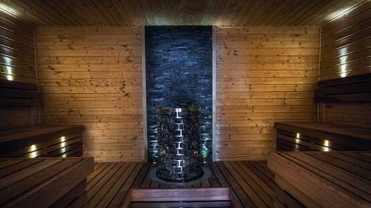 Photo 3 of the Sauna at Elysium Residences