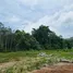  Land for sale in Choeng Thale, Phuket, Choeng Thale, Thalang