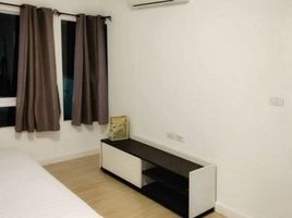 2 Schlafzimmer Reihenhaus zu vermieten im Indy Srinakarin, Bang Kaeo, Bang Phli