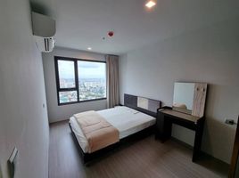 1 Schlafzimmer Appartement zu vermieten im Life Ladprao, Chomphon