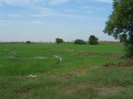  Grundstück zu verkaufen in Khlong Luang, Pathum Thani, Khlong Nueng