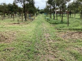  Grundstück zu verkaufen in Na Yai Am, Chanthaburi, Wang Mai, Na Yai Am, Chanthaburi