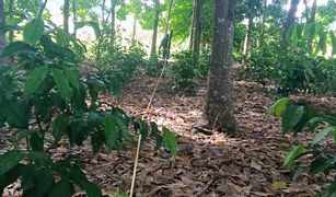 N/A Land for sale in Rawai, Phuket 