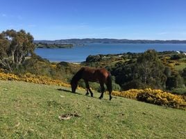  Grundstück zu verkaufen in Chiloe, Los Lagos, Ancud, Chiloe, Los Lagos