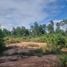  Land for sale in Ubon Ratchathani, Kut Chomphu, Phibun Mangsahan, Ubon Ratchathani