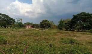 N/A Land for sale in Yu Wa, Chiang Mai 