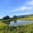  Land for sale in Chiang Mai, Inthakhin, Mae Taeng, Chiang Mai