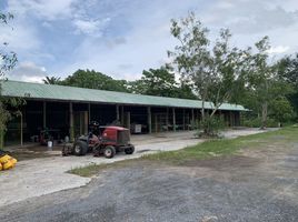  Land for sale in Krabi Airport, Nuea Khlong, Krabi Noi