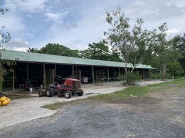  Grundstück zu verkaufen in Mueang Krabi, Krabi, Krabi Noi, Mueang Krabi, Krabi