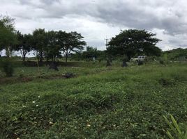  Grundstück zu verkaufen in Phanat Nikhom, Chon Buri, Mon Nang