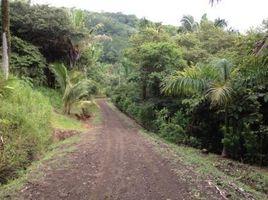  Grundstück zu verkaufen in Nicoya, Guanacaste, Nicoya, Guanacaste, Costa Rica