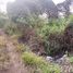  Land for sale in Sumba Barat East Nusa Tenggara, Kodi, Sumba Barat, East Nusa Tenggara, Indonesia
