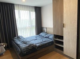 1 Schlafzimmer Appartement zu vermieten im The Cube Loft Srinakarin - Theparak, Samrong Nuea, Mueang Samut Prakan, Samut Prakan