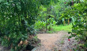 N/A Land for sale in Choeng Thale, Phuket 