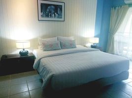 32 Bedroom Hotel for sale in Dararassamee Hospital, Rim Tai, Rim Tai